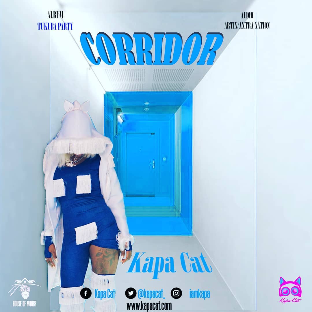 Kapa Cat